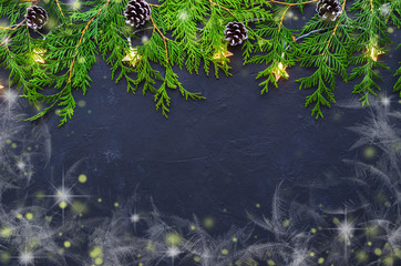 Christmas Tree fir Branches on dark background. View from above.