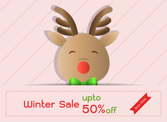 Christmas Winter Discount Sale Banner