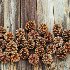 Pine cone over wooden background. Top view.