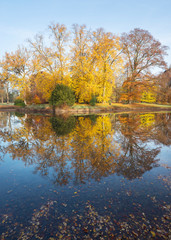 Fototapeta na wymiar trees in autumn colors reflected in blue water of pond in the netherlands