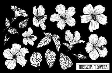 hand drawn floral decorations © Chantal