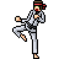 vector pixel art martial artist