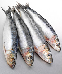 FOUR SARDINES