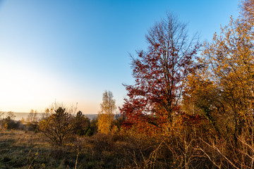 Couleurs d'automne en fin de journée