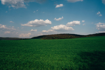 Amazing green meadows on the hills