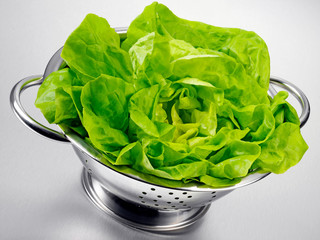 FRESH LETTUCE IN COLANDER