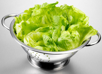 ICEBERG LETTUCE LEAVES IN COLANDER