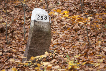 kamienny słupek graniczny w lesie bukowym