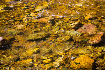 Stones on a bottom of a flowing creek