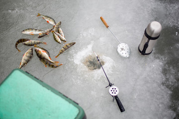 on the ice is a box with a fishing projectile, next to it is caught fish, a fishing rod and a thermos