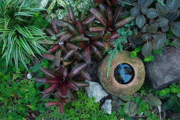 Top view of gardening decorations with plants and earthenware. Background and texture of gardening.