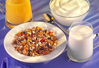 BOWL OF MUESLI WITH YOGHURT