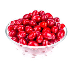 Red ripe berries of Cornus mas