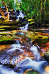 Fototapeta premium WF Somersby Low Vert Long