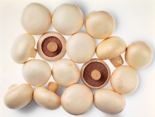 MUSHROOMS