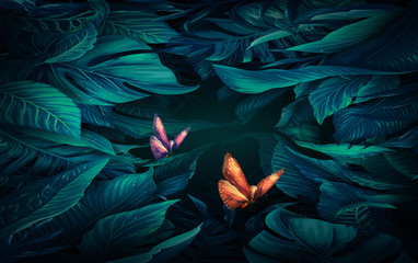 Fototapety  Ciemnozielone tło, ciemne liście, dwa jasne motyle