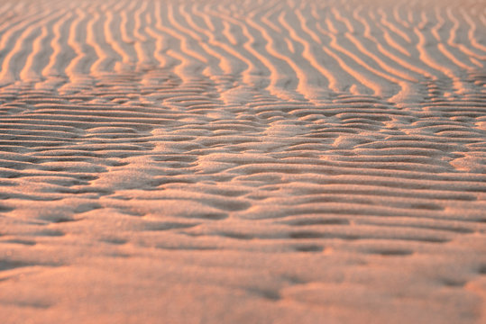 Texture of sand on the beach after low tide at dawn. Shallow depth of field