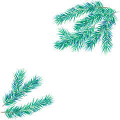 Obraz premium Green pine branches. Christmas tree branches for new year