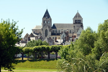 Fototapeta na wymiar Collégiale Saint-Aignan, verdure en premier plan, ville de Saint-Aignan-sur-Cher, Loir et Cher, France