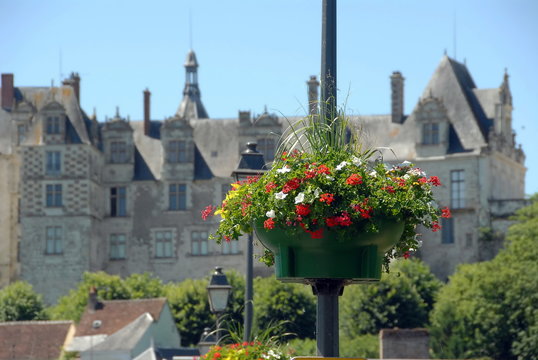 Potée de fleurs rouges et blanches dans la ville de Saint-Aignan-sur-Cher, département du Loir et Cher, France	