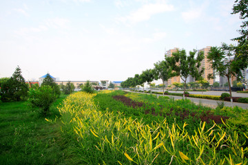 Green plants and unfinished buildings