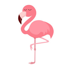 Fototapeta premium cute pink flamingo