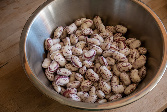 Haricots coco de Prague &eacute;coss&eacute;s dans un saladier en acier inox