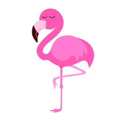 cute pink flamingo