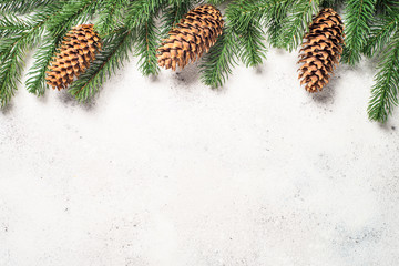 Obraz premium Christmas background with fir tree and cones on white backgroun
