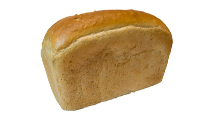 bread on white background