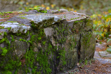 Rock stair with moss