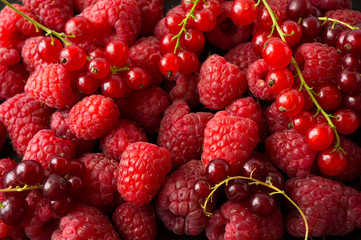 Background of raspberries and red currants. Fresh berries closeup. Top view. Background of red berries. Various fresh summer fruits. Red food.