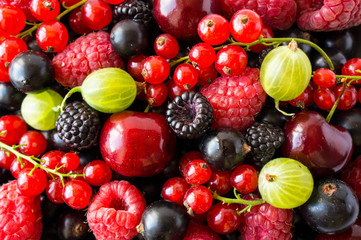 Ripe blackberries, blackcurrants, cherries, red currants, raspberries and gooseberries. Mix berries and fruits. Top view.