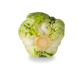 Obraz premium Green cabbage isolated on white background. Healthy food. Cabbage isolated on white. Cabbage close up. Cabbage with copy space for text.
