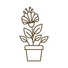 potted flowers isolated icon