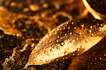 Golden leaves with drops on textured background, closeup