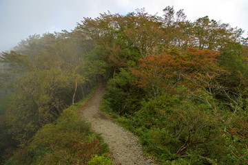 塔ノ岳 鍋割山 22