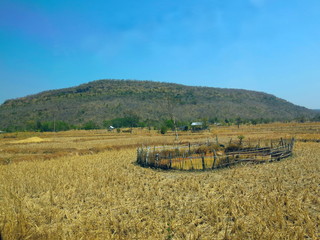 Obraz premium a little pond in the dry rice farm after harvest season with the bright sky and the mountain