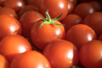 Agrupacion de tomates cherrys