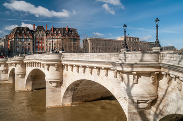 Obraz premium Beautiful view of the Pont Neuf in Paris, France, on a sunny day