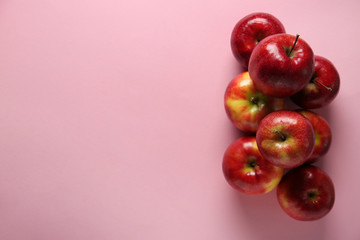 Ripe tasty apples on color background, top view