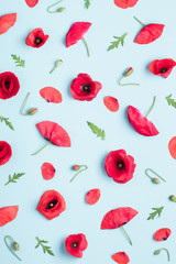 Red poppy flowers leves buds and seed boxes pattern background top view flat lay