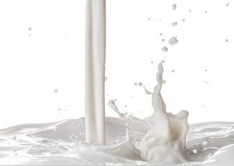 Splash of milk on white background
