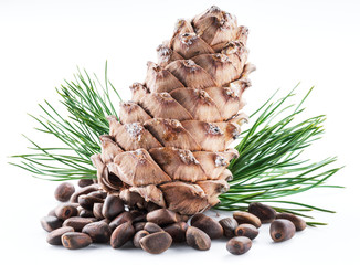 Fototapeta premium Pine nut cone and pine nuts on the white background. Organic food.