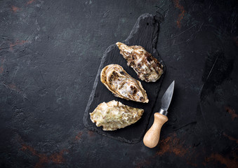 Fresh oysters on dark background © Yulia Furman