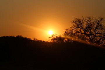 Fototapeta na wymiar Sunset in South Africa