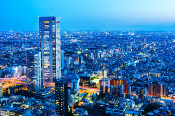 Fototapeta premium skyline night view of shinjuku in Tokyo, Japan