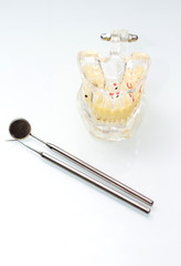 Dentist medical tools and transparent jaw