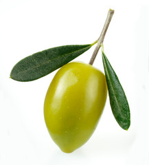 SINGLE OLIVE