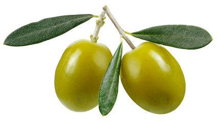 TWO OLIVES
